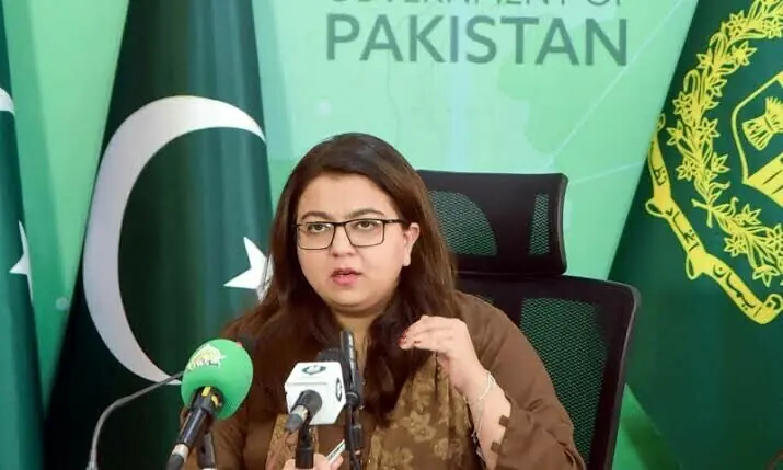 Pakistan targets US public-sector technology market to boost tech exports significantly